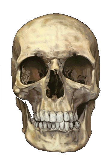 Contact Me Contact Me